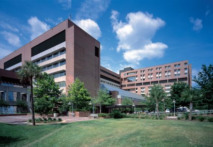 Clinical and Health Psychology Clinic | UF Health, University of Clinical and Health Psychology