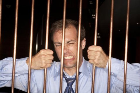 Criminal Psychologist vs. Criminologist - Woman Criminologists and Criminal