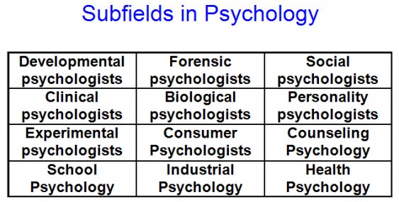 Experimental Psychology