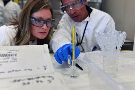 Forensic Psychologist Education - Ampulse Banner