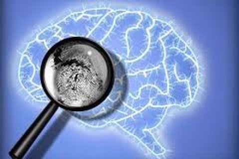 3663593_f520.jpg Forensic Psychology