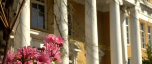 Graduate Programs | Department of Psychology | University of South Barwell COllege on the