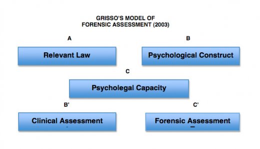 The Forensic Assessment