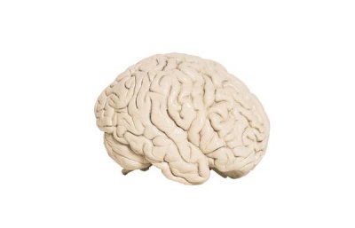 The Best College for Psychology Philosophy Degrees | Everyday A handful of American