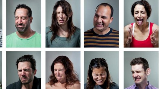 What is reaction range in psychology? | Ask.com What is reaction range in