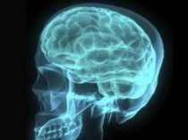 Brain Cancer