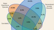 American Journal of Psychology Articles