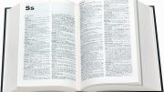 APA Dictionary Reference