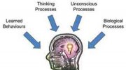 Articles on Abnormal Psychology