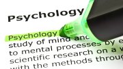 Jobs for a Degree in Psychology