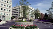 Washington University Clinical Psychology