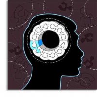 Fields Within Psychology Fields Within Psychology
