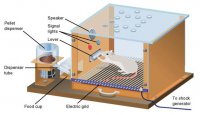 Skinner Box illustration operant conditioning