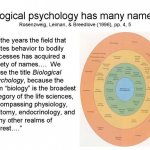 Biological Psychology Perspective