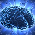 Biological Psychology Theory Biological Psychology Theory