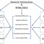 Child Psychology Research Child Psychology Research