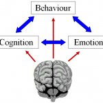 Clinical Psychologist Requirements Clinical Psychologist Requirements