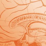 Clinical Psychology Chicago Clinical Psychology Chicago