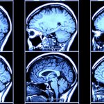 Criminal Psychology Articles Criminal Psychology Articles