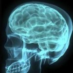 Forensic Psychology News Forensic Psychology News
