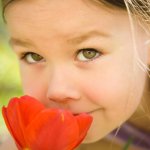 Health Group Psychological Services Health Group Psychological Services