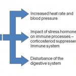 Psychology Articles on Stress