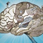 Sports Psychology Tips Sports Psychology Tips