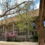 University of New Mexico Clinical Psychology University of New Mexico Clinical Psychology