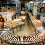 Where do Industrial Organizational Psychologists Work? Where do Industrial Organizational Psychologists Work?