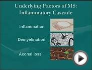 Clinical Significance of Demyelinating Lesions of the