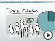 Extrinsic Motivation in Psychology: Definition, Examples