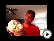 Forensic Anthropology-high School Standard