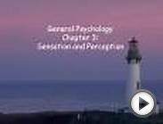 General Psychology Chapter 3: Sensation and Perception