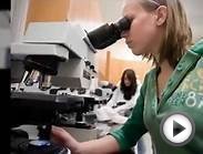 How To Become A Forensic Scientist - Criminal Justice Careers