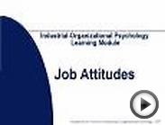 IndustrialOrganizational Psychology Learning Module Job