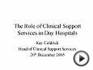 The Role of Clinical Support Services in Day Hospitals