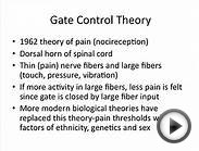 Theories in Psychology: A Refresher for AP Psych