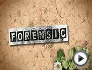 What Is Forensic Psychology